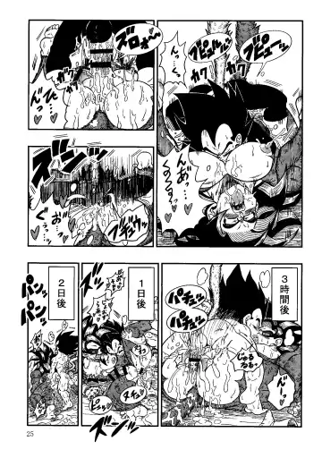 [Amatsu] Time Paradox Fhentai - Page 24