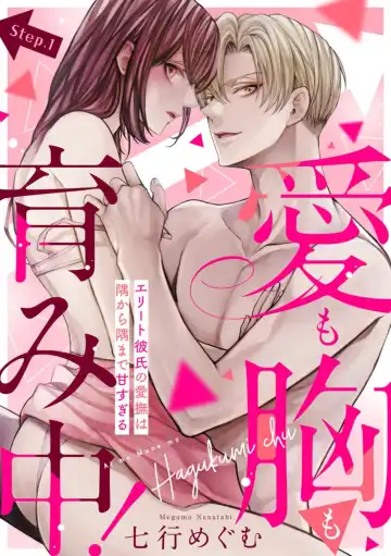 Read [Nanatabi Megumu] Ai mo Mune mo Hagukumi-chuu! Elite Kareshi no Aibu wa Sumi Kara Sumi Made Amasugiru (Bunsatsu-ban) 1 - Fhentai.net