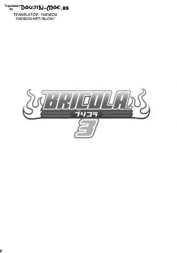 [Haikawa Hemlen] BRICOLA 3 Fhentai - Page 3