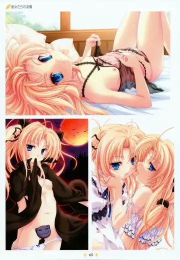 [Miyama Zero] MOEOH Selection Custom Maid Girl ~Miyama Zero Gashuu~ Fhentai - Page 53