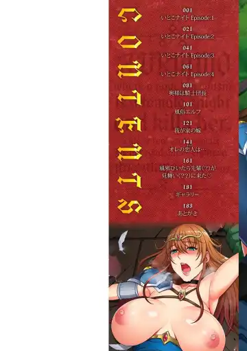 [Kai Hiroyuki] Ecchi na Itoko ga Onna Kishi de Kukkoro na VRMMO Ki Fhentai - Page 2