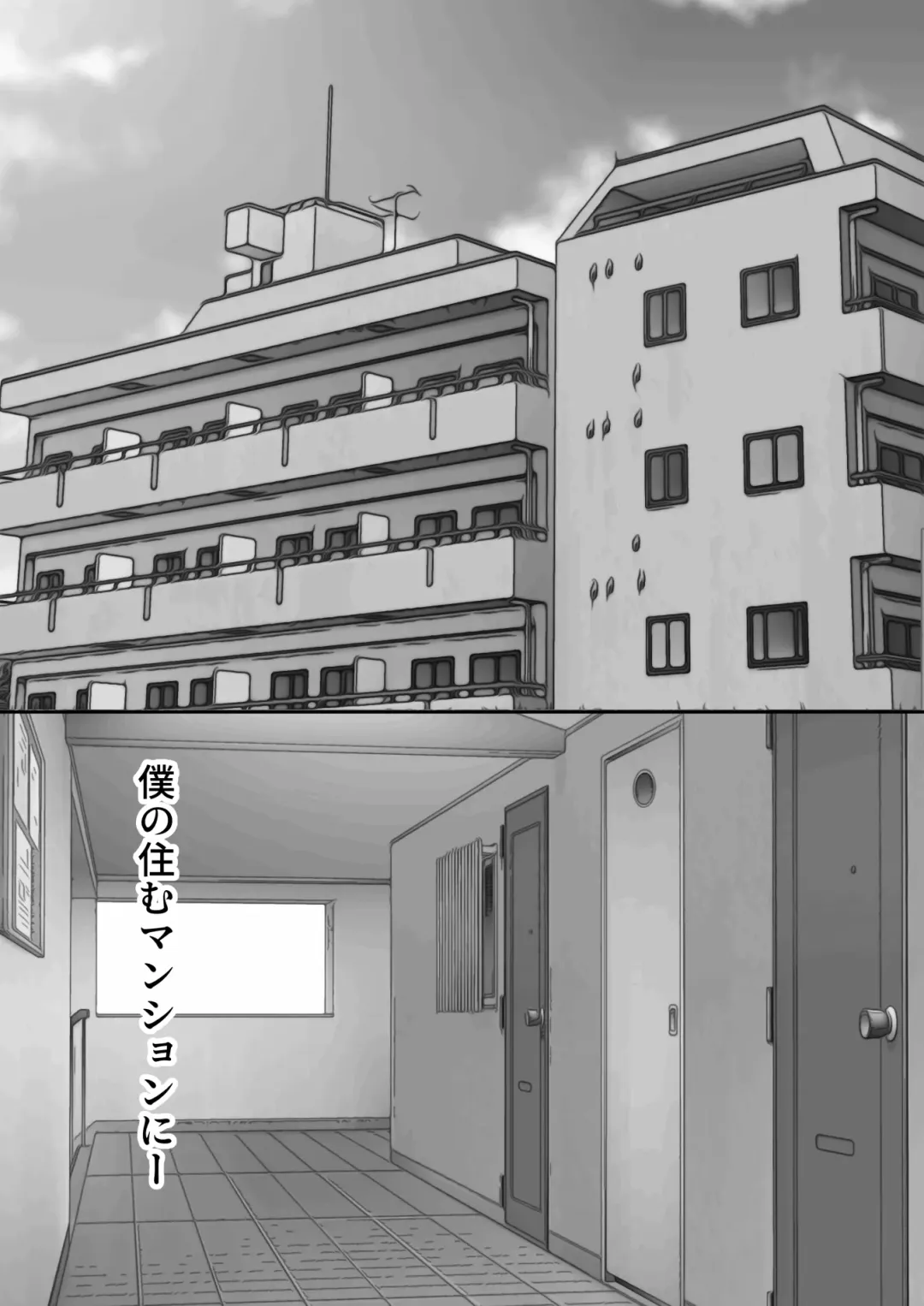 弟の妻 合意のうえ資産家ご令嬢を孕ませる2 Fhentai.net - Page 52