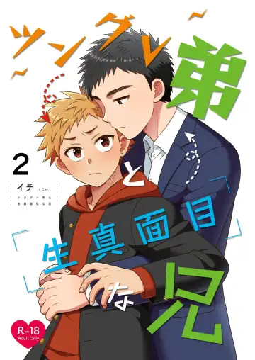 Read [Ichi] Tsungure Otouto to Kimajime na Ani 2 - Fhentai.net