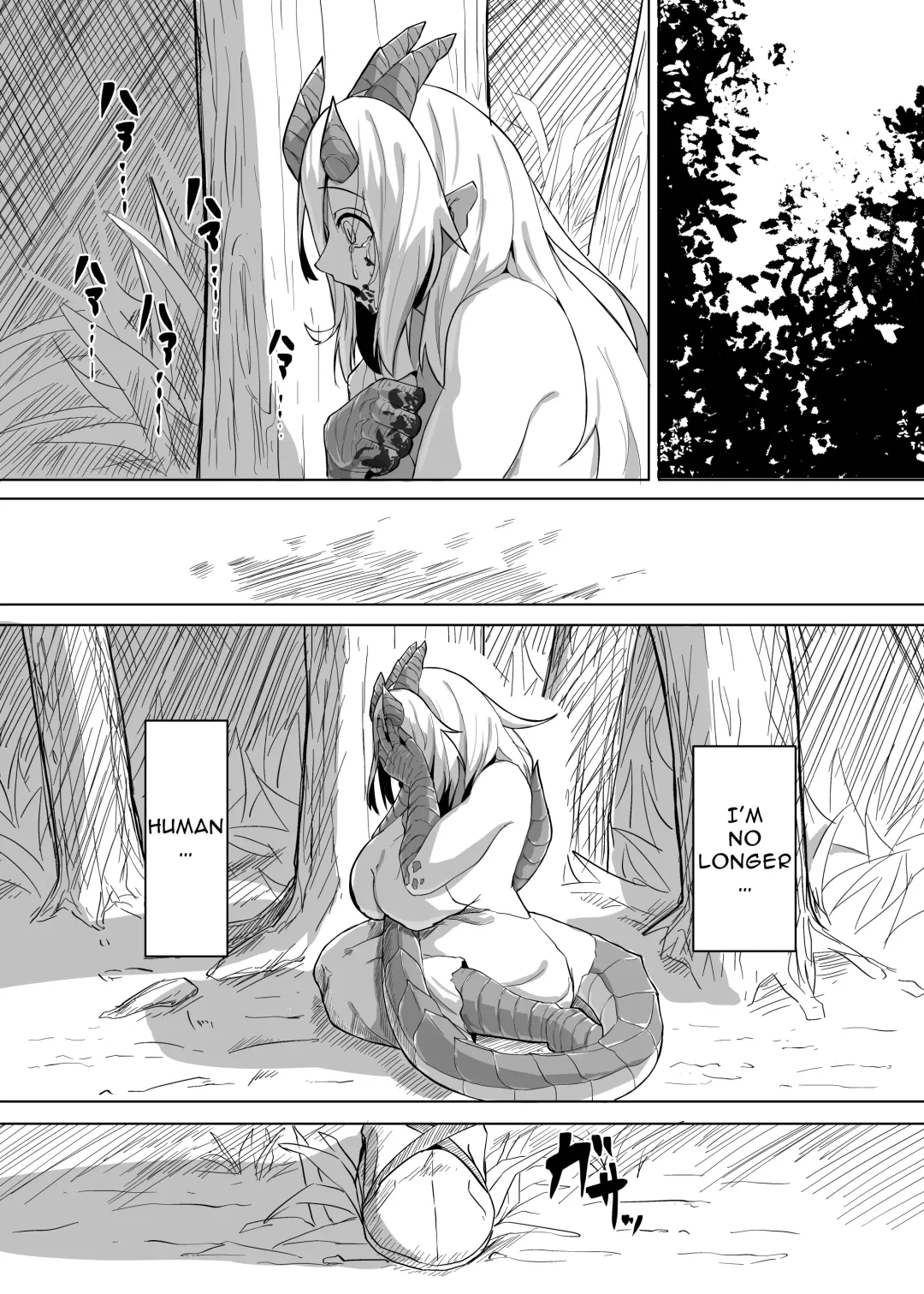 [Kyabetsuka] The Pure Love Pleasure of a Persecuted Dragon Girl and an Assassin at His Limit Fhentai - Page 6