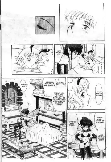 [Kondom] Bondage Fairies 6 Fhentai - Page 25