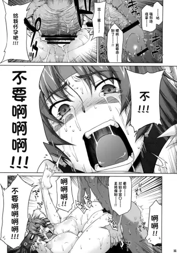 [Seura Isago] Risty-Rin ~Kanzenban~ Fhentai.net - Page 34