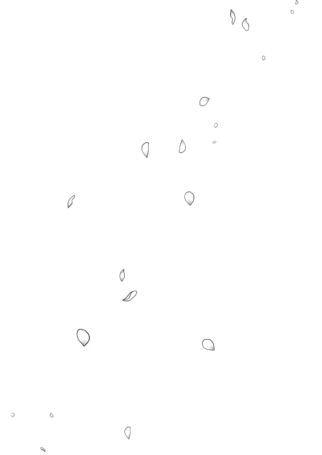 [Katsura Airi] Karami Zakari vol. 3 | Entanglement vol. 3 (uncensored) Fhentai - Page 143