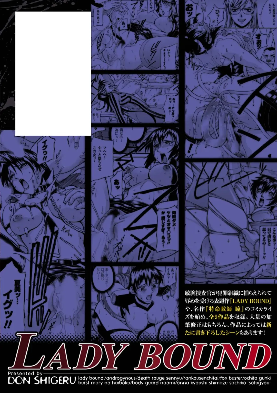 [Don Shigeru] LADY BOUND Fhentai - Page 166