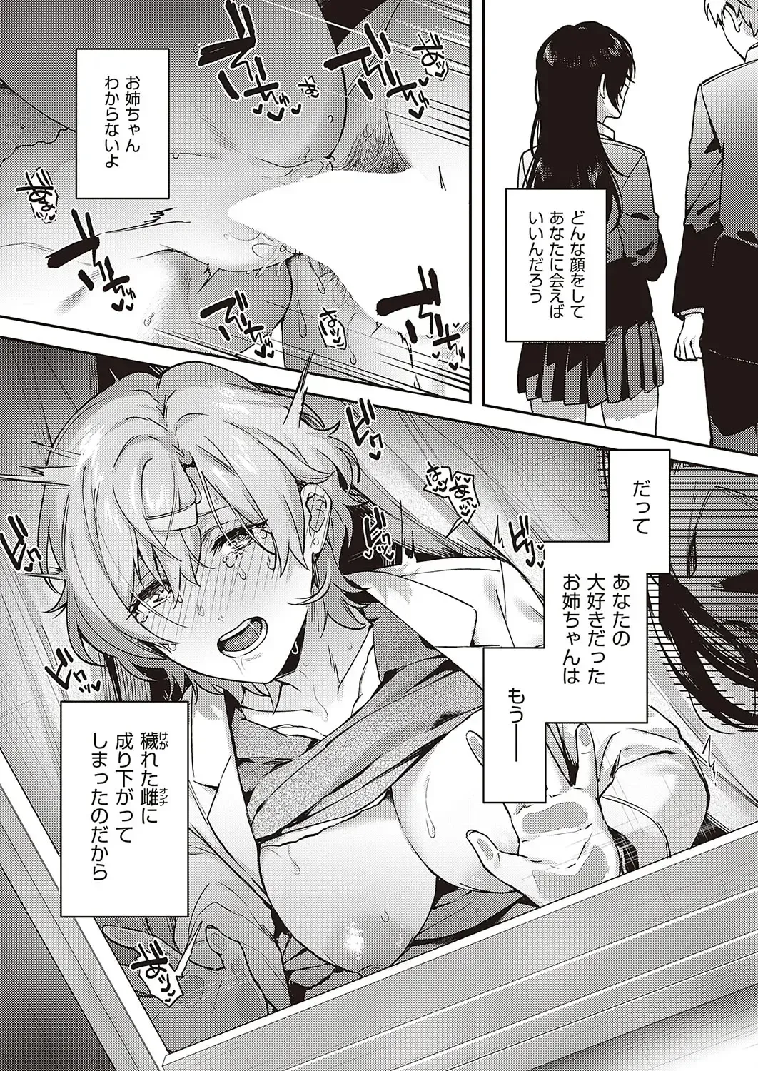 [Yoshitora] Boku no Daisuki na Mesu Fhentai - Page 89