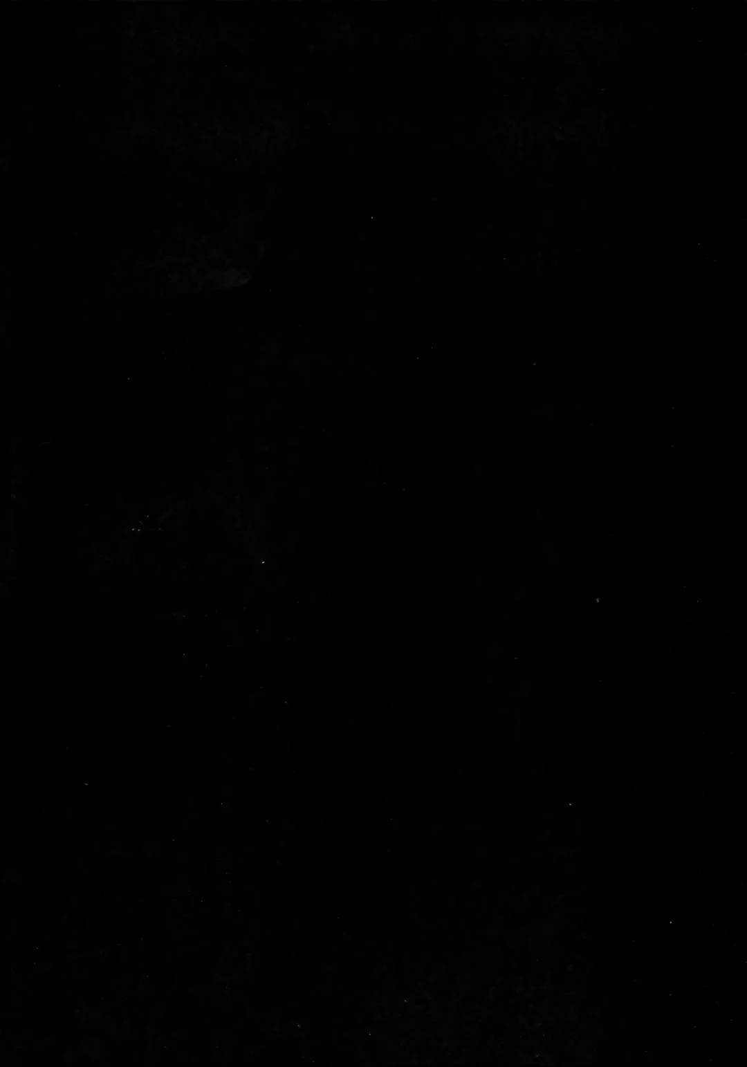 [Hemachi] Ganbare! Ranpha-san! | Good luck! Ranpha-san! Fhentai - Page 3