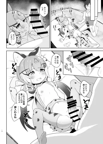 [Dull] Geoffroy Neko wa Otoshigoro Fhentai.net - Page 14