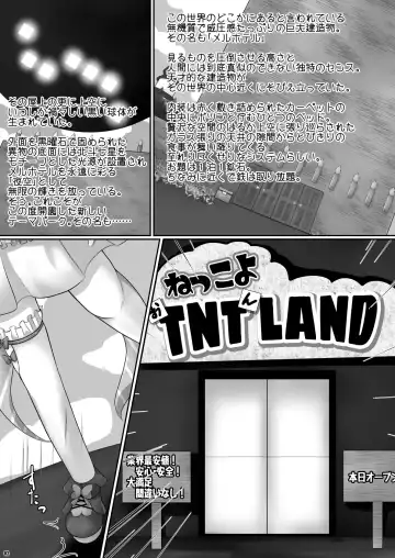 [Aspara Daisuke] Nekkoyo TNT n Land he Youkoso!! Fhentai.net - Page 3