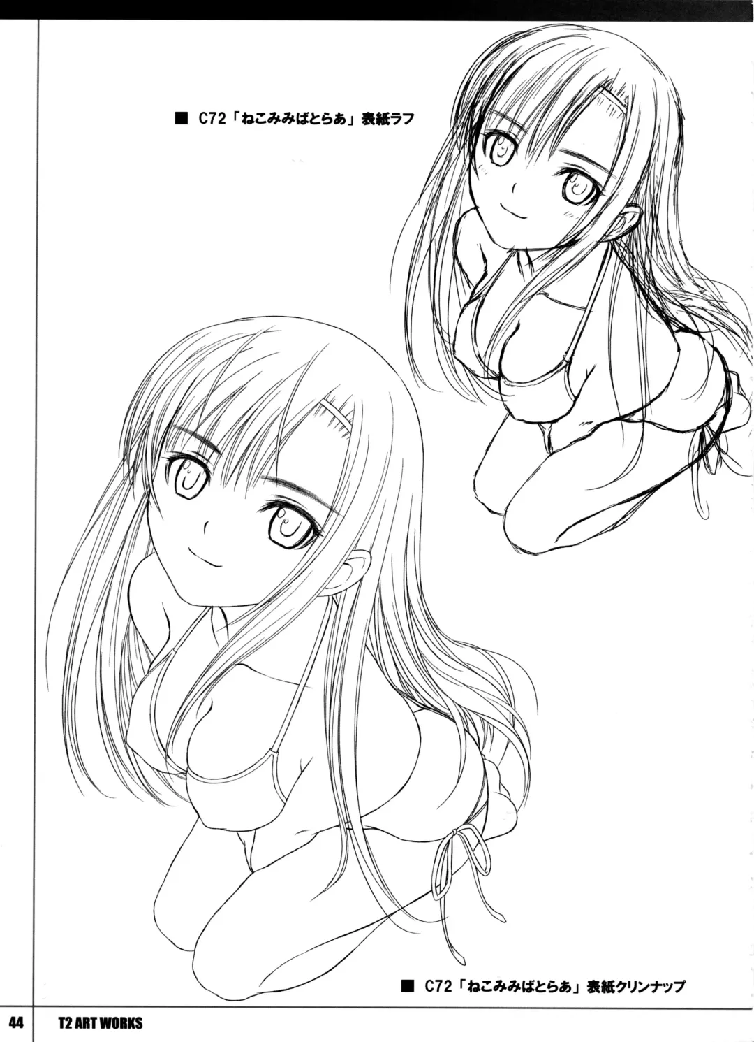 [Tony Taka] T2 ART WORKS Genga&Roughshuu Fhentai - Page 44