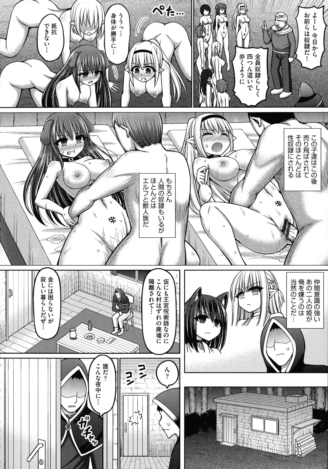 [Hashimura Aoki] Jujutsushi ni Tensei Shita node Koujo Zenin Dorei ni Shite Mita Fhentai.net - Page 12