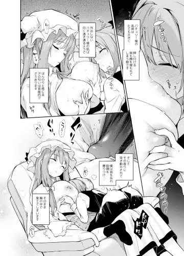 [Michiking] ANMITSU TOUHOU HISTORY Vol. 4 Fhentai - Page 29