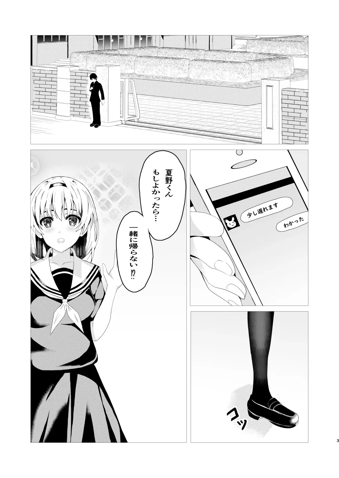 HimeImo -Himemitsu na Imo to no Kankei- Fhentai - Page 3