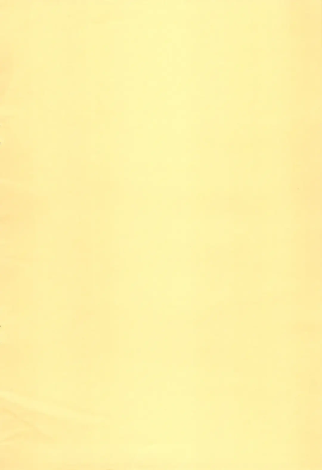 [Shinozuki Kou] -neko_gyakutai- Fhentai - Page 17