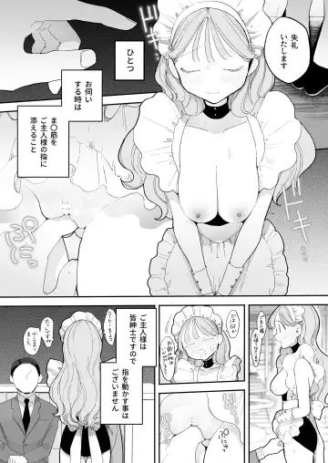 [Pochitaro] Zecchou Refle C103 Novelty Sasshi Otonashi Hana no Sainan  Hataraki Saki wa Ecchi na Maid Cafe Fhentai.net - Page 5