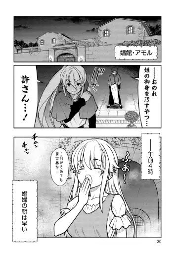 [Hinaki] Kukkorose no Himekishi to nari, Yuri Shoukan de Hataraku koto ni Narimashita vol.1 Fhentai - Page 30