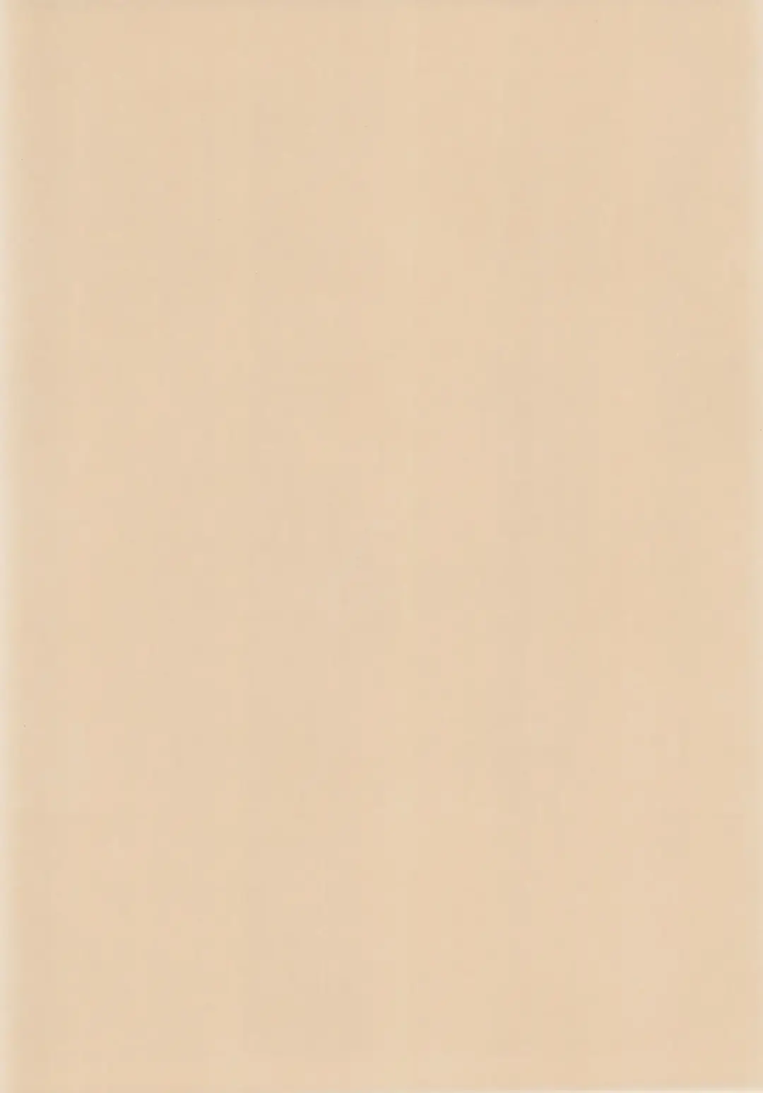 [Himehachi] Mamoru-kun to Watashi Fhentai - Page 4