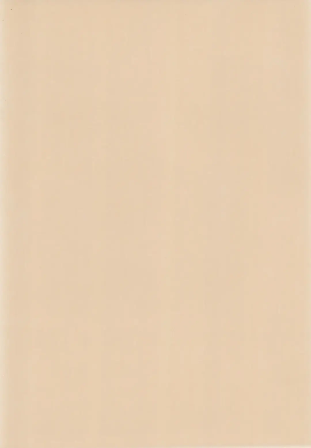 [Himehachi] Mamoru-kun to Watashi Fhentai - Page 46