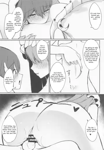 [Alba] Patchouli-sama ni Omoi o Tsutaetara Osowareta Hanashi | The story of how I was raped by Patchouli when I confessed my feelings to her Fhentai.net - Page 13