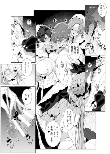 [Tsumetoro] Shinshi Tsuki Maid no Sophie-san 9 Fhentai.net - Page 25