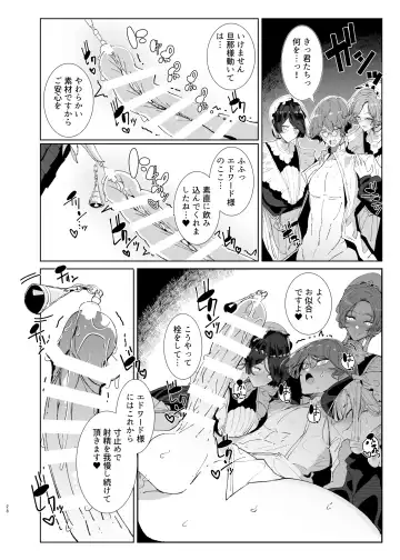 [Tsumetoro] Shinshi Tsuki Maid no Sophie-san 9 Fhentai.net - Page 27