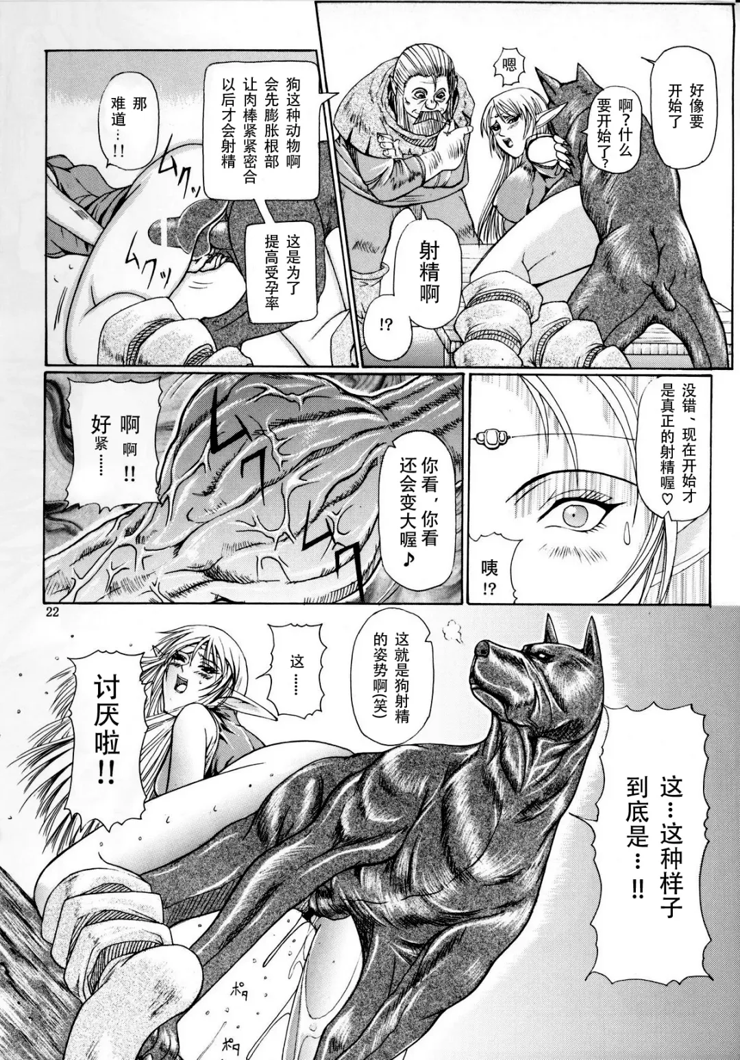 [Hiichan] Ken-Jyuu 3 Sonnet - La Danse de la Fee Fhentai - Page 21