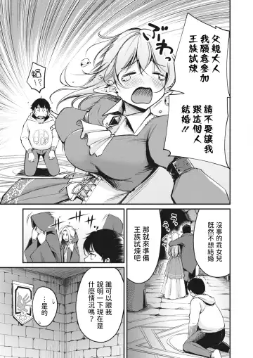 [Regdic] Hakoiri Elf no Oujo-sama Fhentai - Page 3