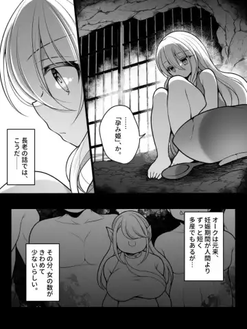 [Reitou Mikan] TS Impregnated Princess ~A story about a former hero who becomes the princess of a group of orcs~ Fhentai.net - Page 11