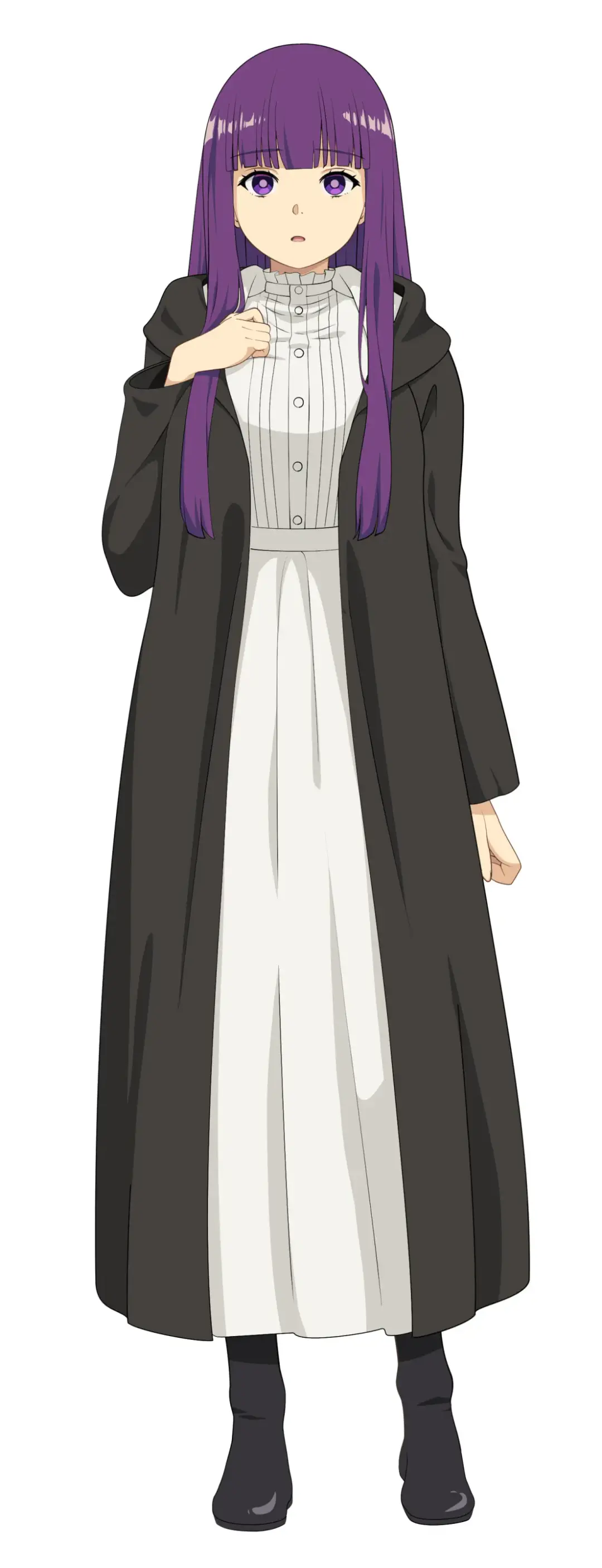 [Nanika Iru] Frieren + Fern Fhentai - Page 11