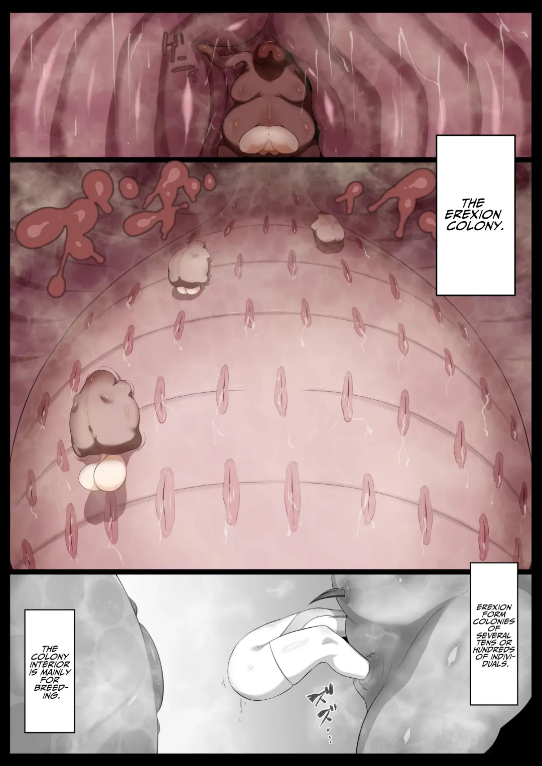 [Kyouan] Mararion Fhentai - Page 17