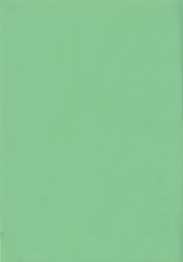 [Konata Hyuura] Chicken Moss Moss Fhentai - Page 2