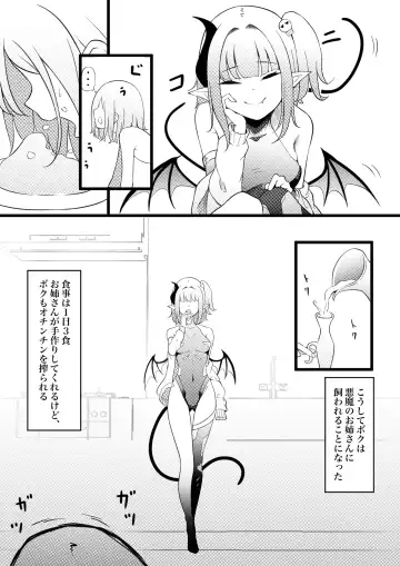 [Zandoro] Succubus Breeder ~ Kotoba no Tsuujinai Tensei Sekai de Succubus ni Kawareru Boku no Ohanashi Fhentai.net - Page 12