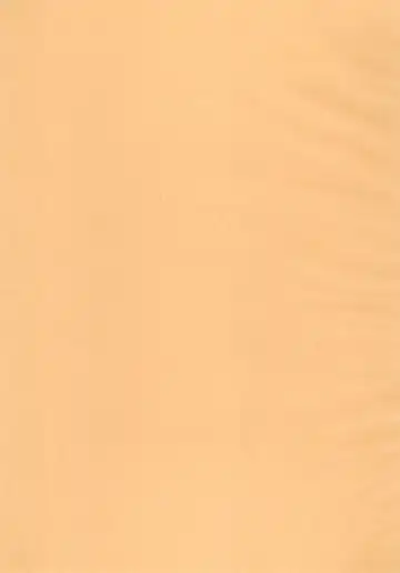 [Koike Amuko] Neco Days Fhentai - Page 3