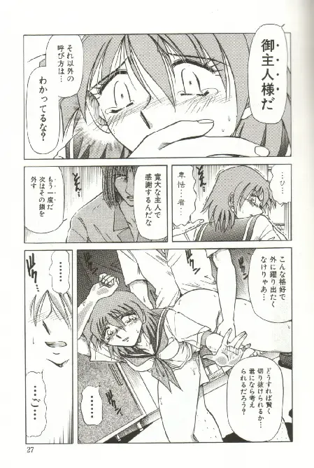 [Shizuka] Kinbaku Choukyou ~Aido Shigan~ Fhentai - Page 29