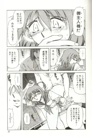 [Shizuka] Kinbaku Choukyou ~Aido Shigan~ Fhentai - Page 29