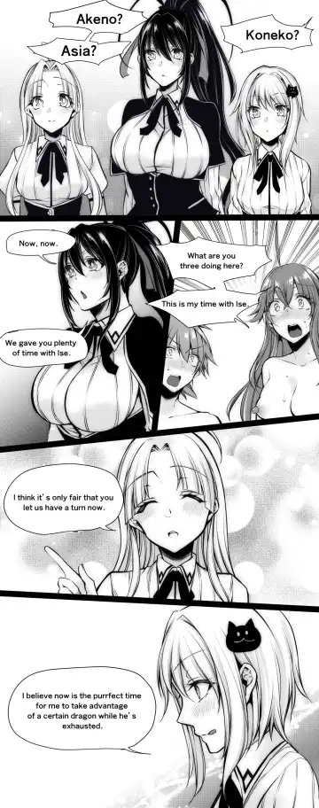[Kuroseimu] Highschool DxD Fhentai - Page 26