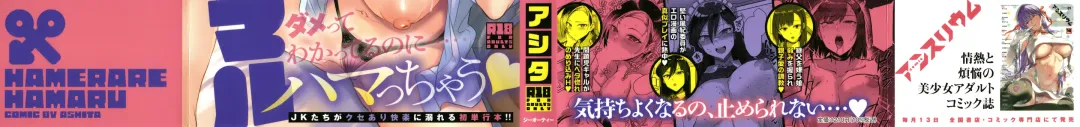 [Ashita] Hamerare x Hamaru Fhentai - Page 2