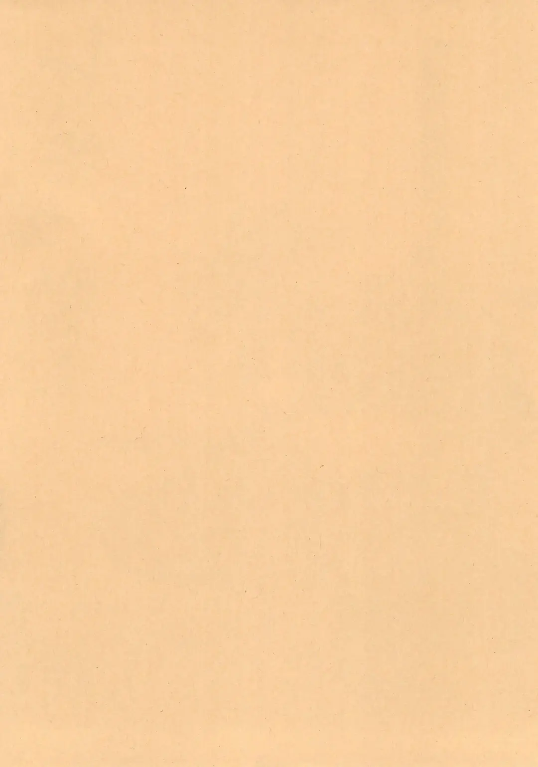 Kemomi Mashi Fhentai - Page 2