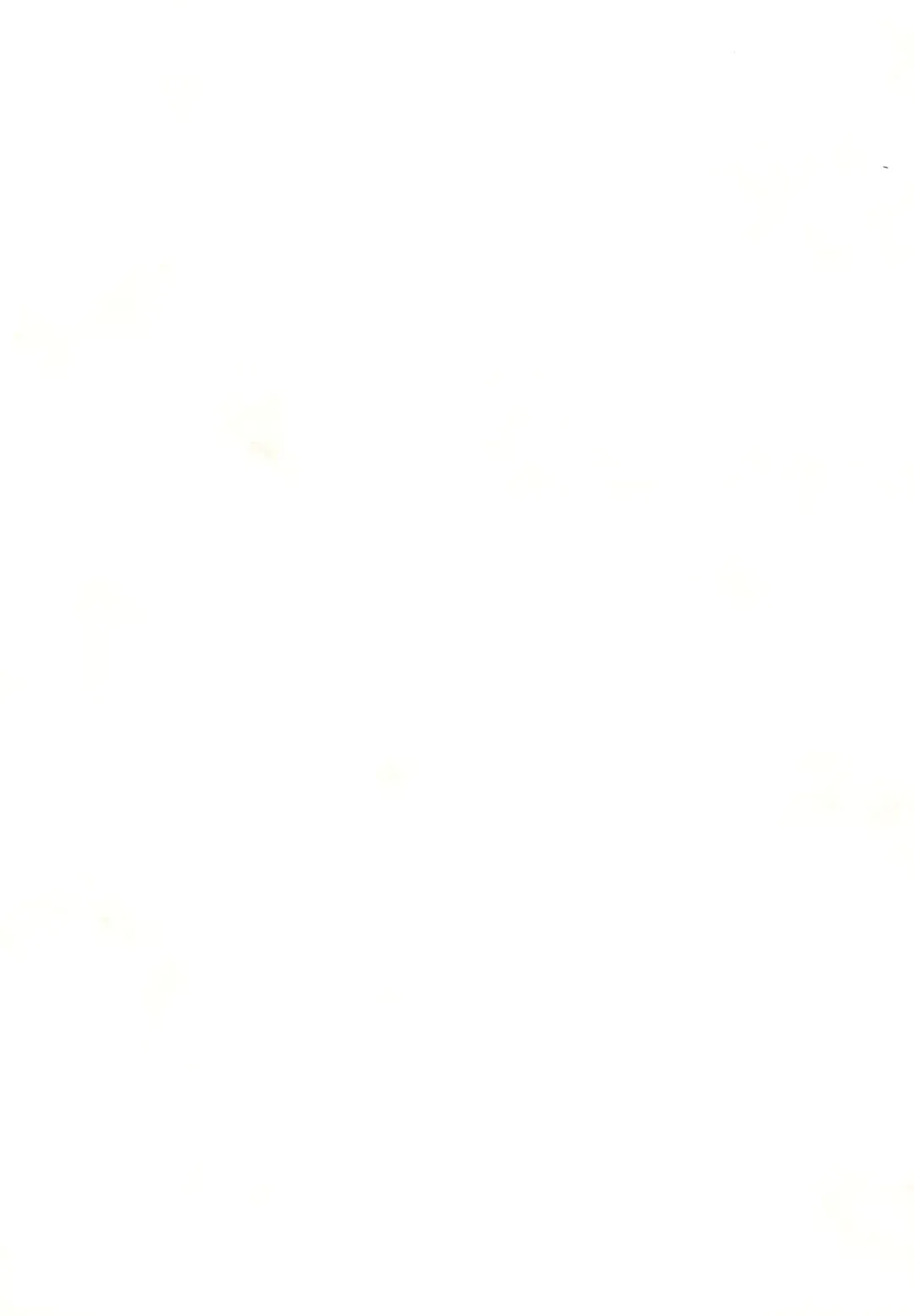 [Nagoyacochin] NAGOYASTYLE 001 Fhentai - Page 13