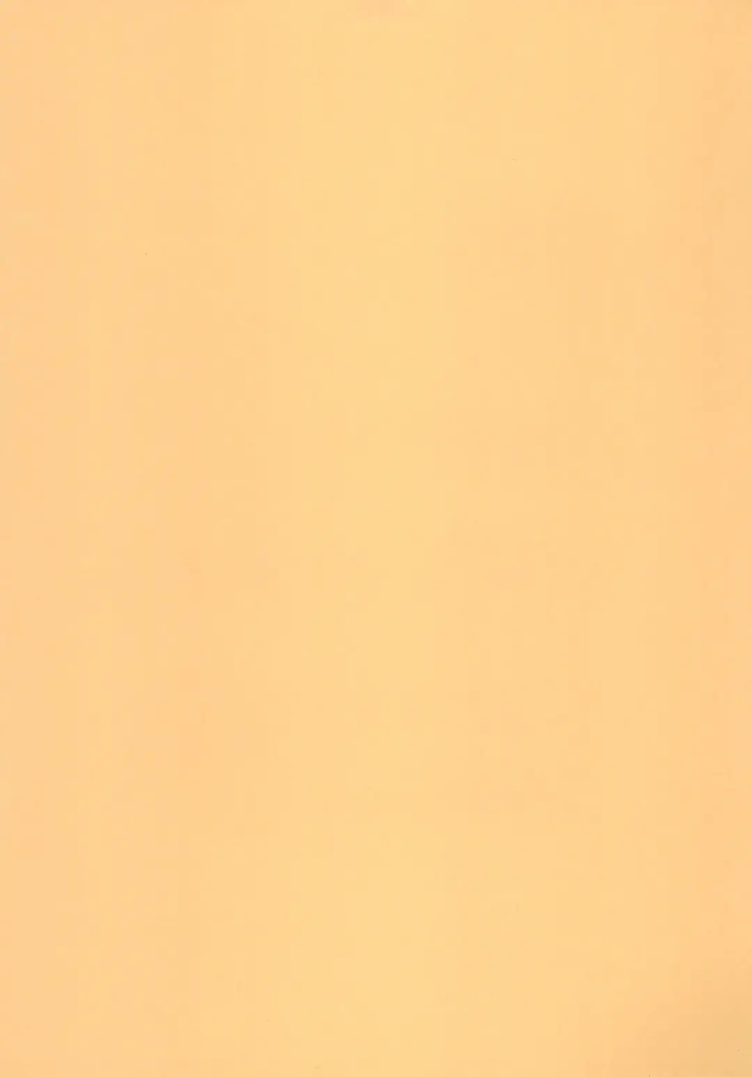 [Ro] Mesugaki Kemo Loli Himeka-chan ga Lolicon Oji-san nanka ni Makeru Wake ga Nai!! Fhentai - Page 3