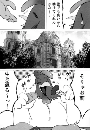 [Imotaco Nankin] Honkaku-teki Osu Youkei Fhentai - Page 7