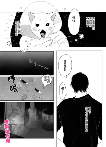 [Nocori] bake neko to mibōjin｜猫与未亡人 Fhentai - Page 7