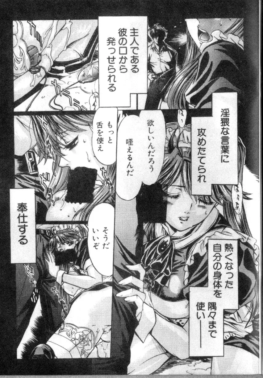 [Yokota Mamoru] Elysion Extra Book: Eternal Sanctuary Fhentai - Page 27