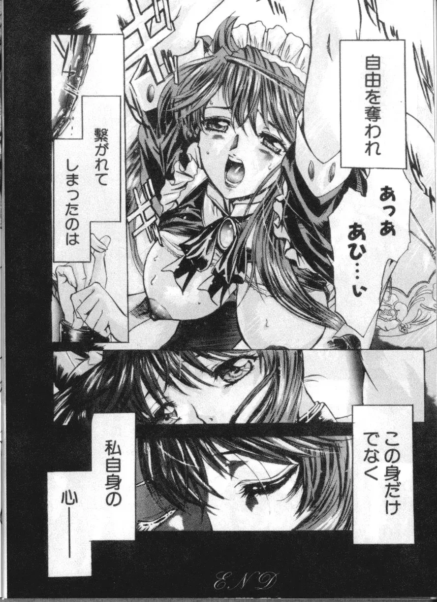 [Yokota Mamoru] Elysion Extra Book: Eternal Sanctuary Fhentai - Page 30
