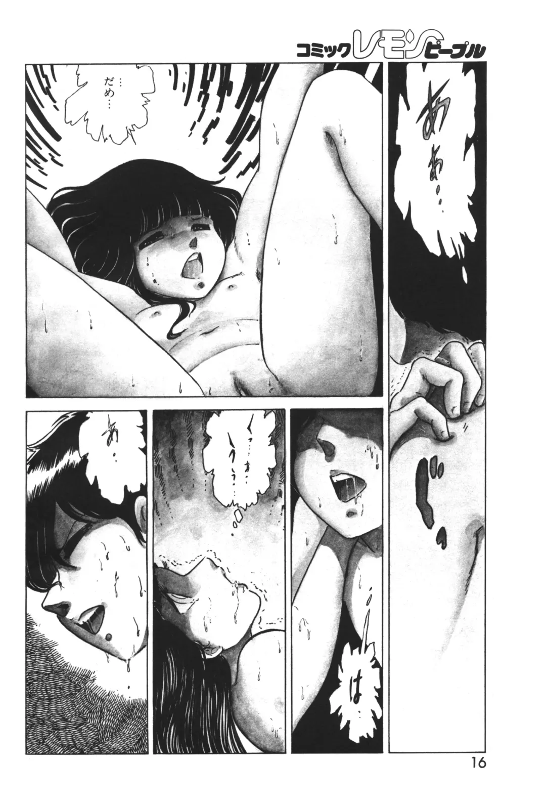 Lemon People 1983-12 vol.23 Fhentai - Page 17