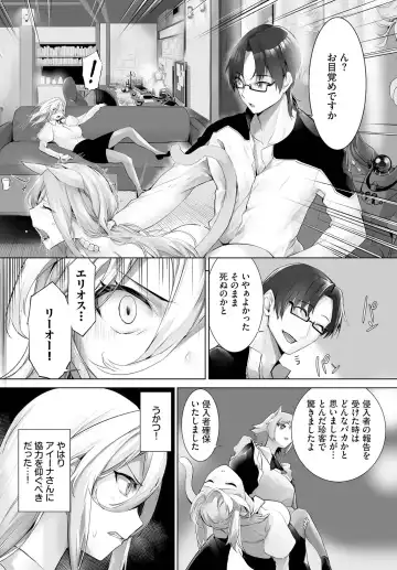[Kyougoku Touya] Orokamono wa Nekomimi Dorei ni Izon suru ~Hajimete no Choukyou Seikatsu~ 26 Fhentai - Page 16