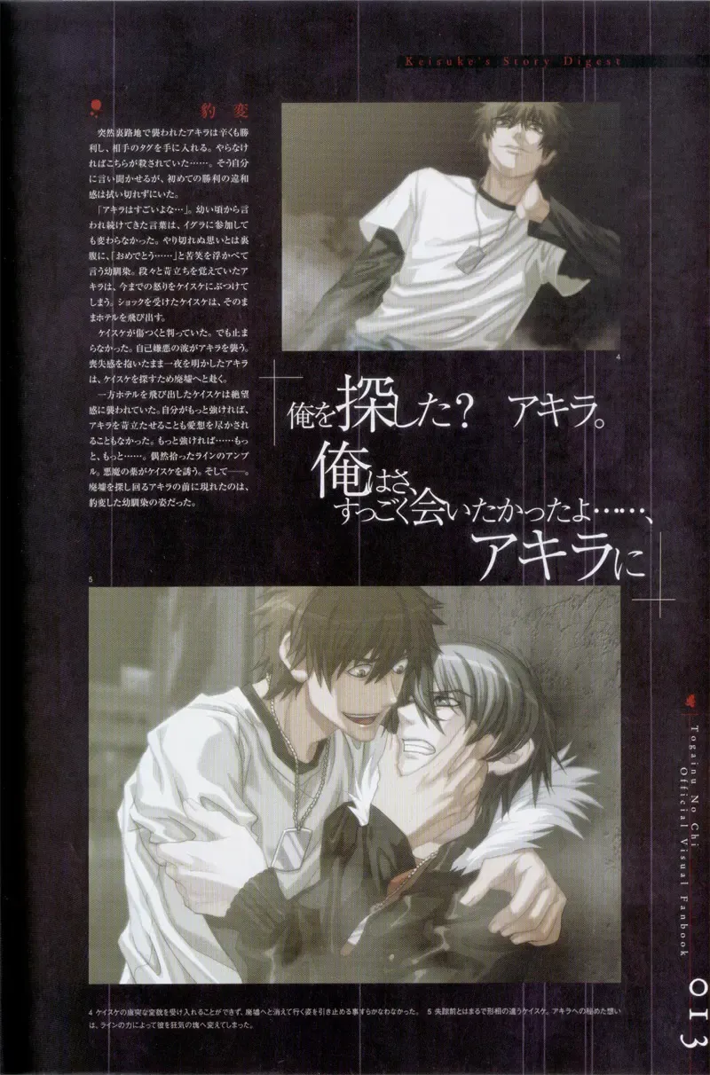 Togainu no chi -  Official Visual Fan Book Fhentai - Page 14